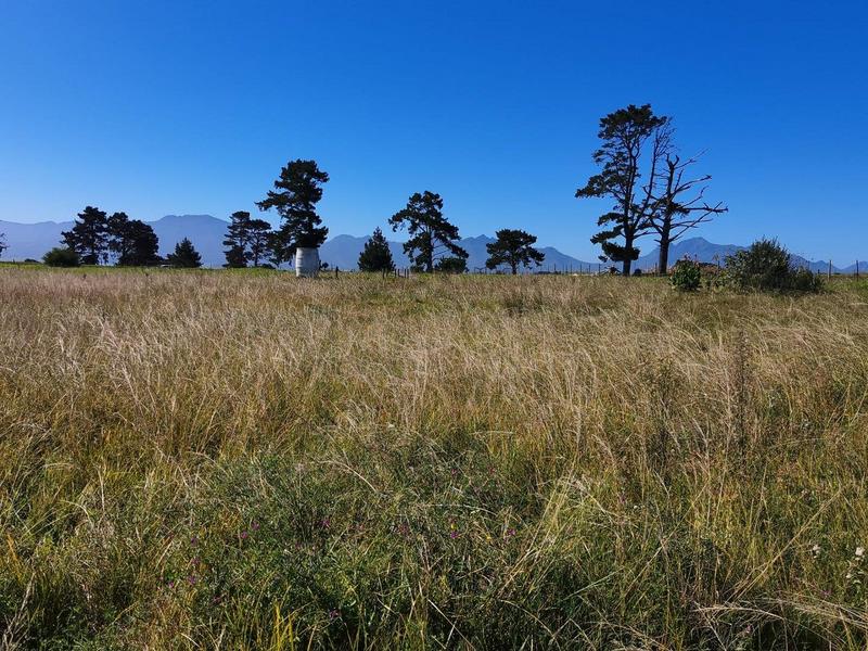 0 Bedroom Property for Sale in George Rural Western Cape